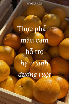 Thực Phẩm Màu Cam Hỗ Trợ Hệ Vi Sinh Đường Ruột: Sức Mạnh Tiềm Ẩn Từ Carotenoid