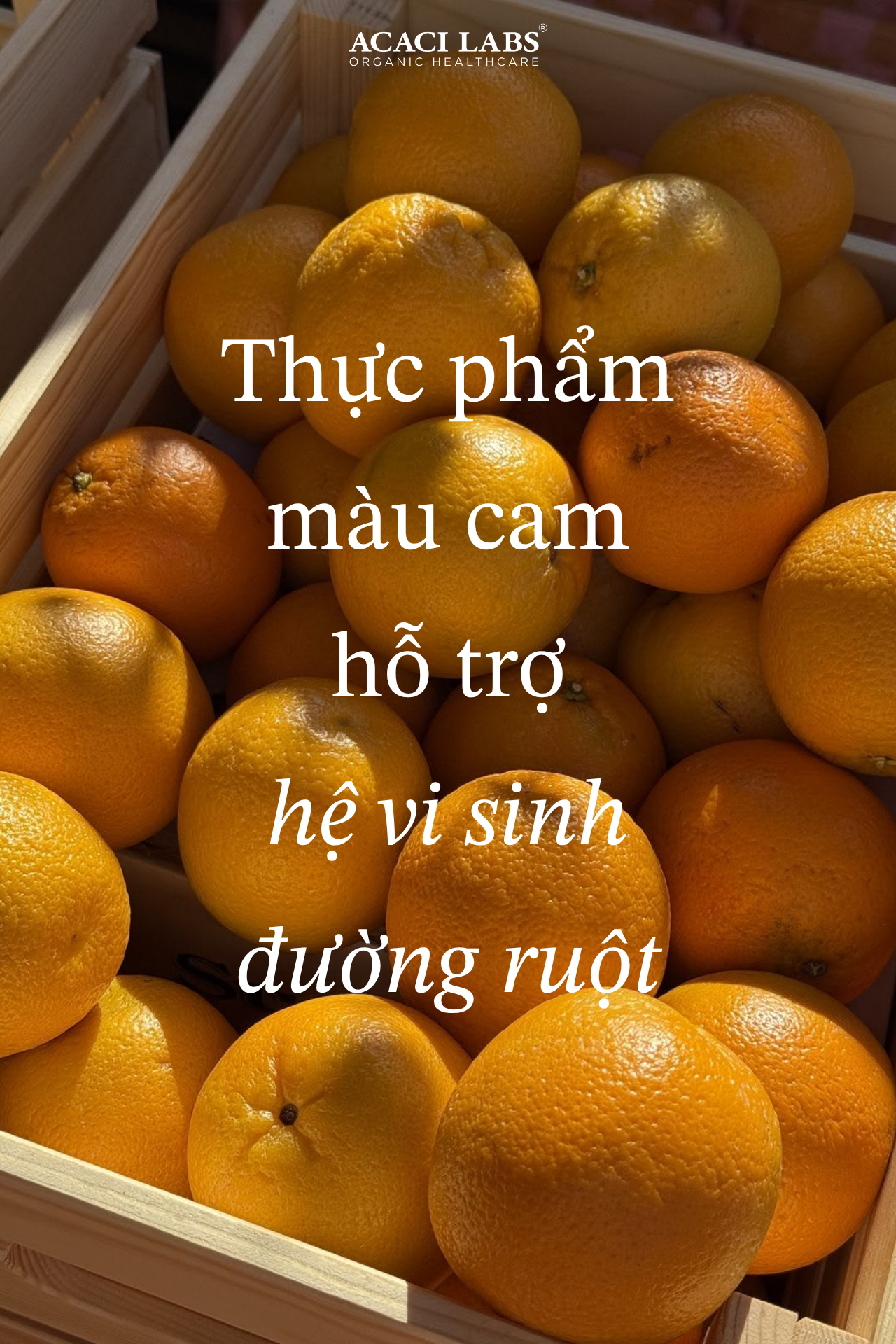 Thực phẩm màu cam hỗ trợ hệ vi sinh đường ruột: Bí quyết từ Carotenoid
