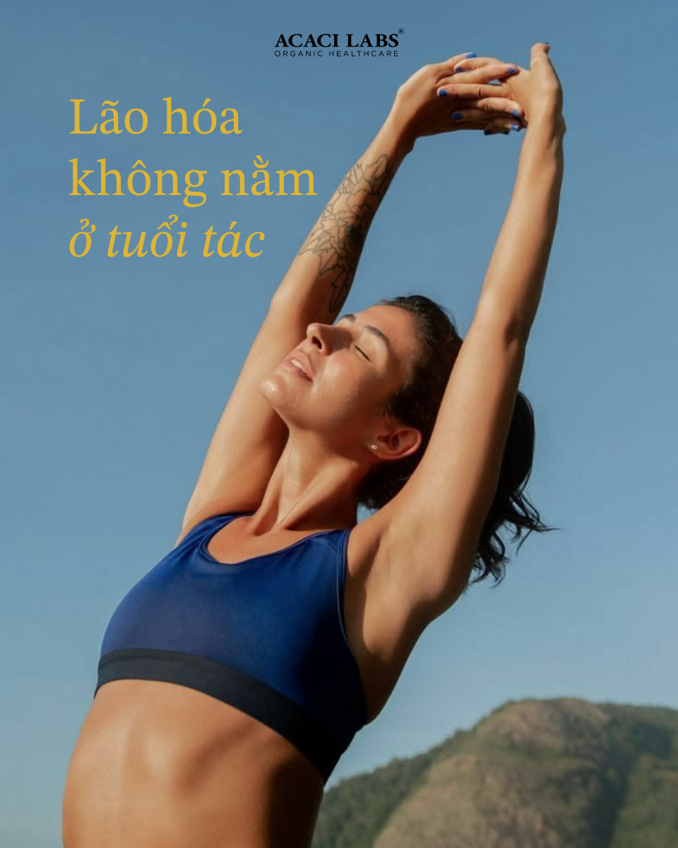 Lão Hóa Khỏe Mạnh: 3 Trụ Cột Nền Tảng & Bí Quyết Trẻ Hóa Từ Acaci Labs
