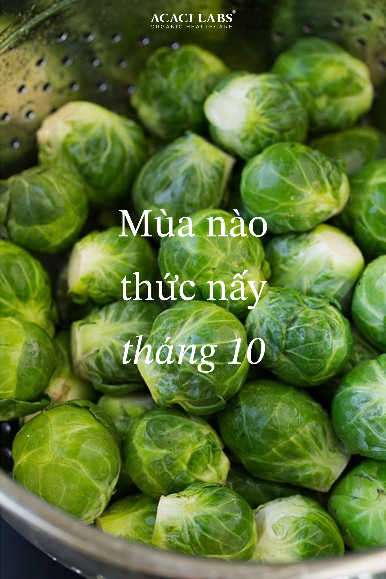 8 Thực Phẩm Đi Chợ Tháng 10 Tốt Nhất